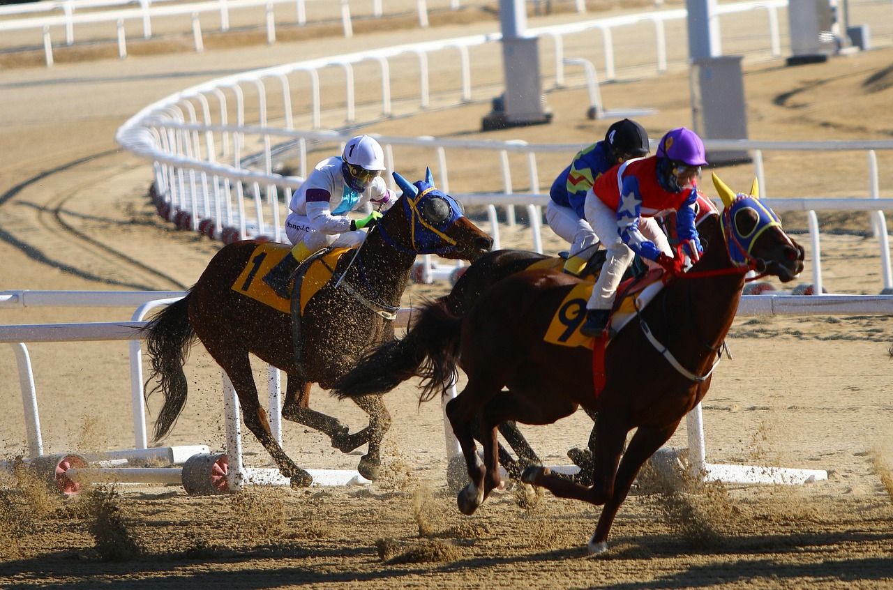 Is Legal Betting Site No Deposit Bonus Now Legal in India? Complete 2026 Guide